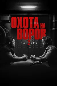 Охота на воров 2: Пантера бесплатно в HD